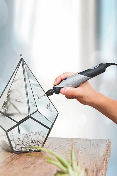 prj800106_styloplus_glass-etched-terrarium_a1-01.jpg prj800106_styloplus_glass-etched-terrarium_a1-01.jpg