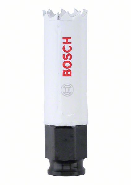 koronka bosch.jpg koronka bosch.jpg