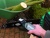 Шлифовальный камень Dremel ДЛЯ ЗАТОЧКИ ЦЕПНЫХ ПИЛ 3 шт.(453) 26150453JA купить с доставкой