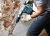 Отбойный молоток с патроном SDS-max Bosch GSH 501 Professiona 0611337020 (0.611.337.020) БОШ