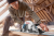 Ручная циркулярная пила Бош Bosch GKS 85 G Professional 060157A900 (0.601.57A.900) в интернет магазине с доставкой по Москве